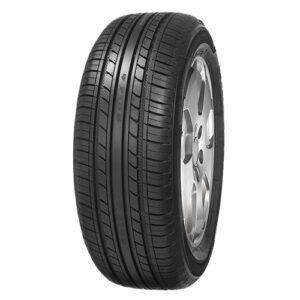 MINERVA F109 AUSLAUF 195/55 R15 85 H